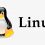 VPN untuk Linux